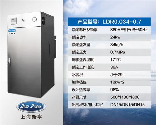 高效电热锅炉蒸汽发生器助力肉制品厂可持续发展——34 kg/h型号与软件一体化解决方案